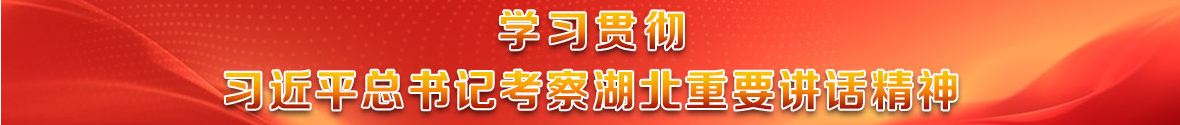 学习贯彻习近平总书记考察湖北重要讲话精神